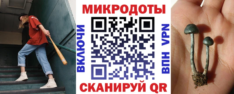 omg маркетплейс  Катав-Ивановск  Галлюциногенные грибы мицелий 